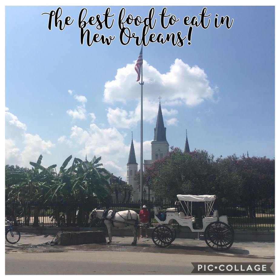 Top five foods to try in New Orleans!